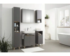 PELIPAL Spiegelkast Capri Met LED Verlichting 65 Cm Grijs 18 PELIPAL Spiegelkast Capri Met LED Verlichting 65 Cm Grijs -HORNBACH shop DV 8 10204081 05 4c DE 20211115091657 1