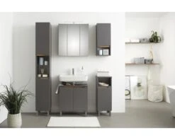 PELIPAL Spiegelkast Capri Met LED Verlichting 65 Cm Grijs 21 PELIPAL Spiegelkast Capri Met LED Verlichting 65 Cm Grijs -HORNBACH shop DV 8 10204088 12 4c DE 20200107111653 1