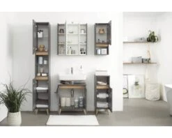 PELIPAL Spiegelkast Capri Met LED Verlichting 65 Cm Grijs 17 PELIPAL Spiegelkast Capri Met LED Verlichting 65 Cm Grijs -HORNBACH shop DV 8 10204119 03 4c DE 20211115091657 1