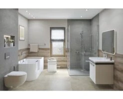 LED Lichtspiegel Silver Juno 100x70 Cm 17 LED Lichtspiegel Silver Juno 100x70 Cm -HORNBACH shop DV 8 10226319 09 4c DE 20210115131750