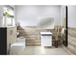 LED Lichtspiegel Silver Juno 100x70 Cm 13 LED Lichtspiegel Silver Juno 100x70 Cm -HORNBACH shop DV 8 10226321 05 4c DE 20210115131750