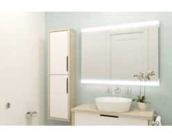 LED Lichtspiegel Emma 60x80 Cm 15 LED Lichtspiegel Emma 60x80 Cm -HORNBACH shop DV 8 10284863 08 4c DE 20210514091650