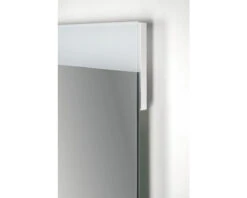 LED Lichtspiegel Emma 60x80 Cm 16 LED Lichtspiegel Emma 60x80 Cm -HORNBACH shop DV 8 10284863 09 4c DE 20210514091650