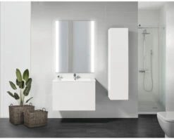 LED Lichtspiegel Emma 60x80 Cm 17 LED Lichtspiegel Emma 60x80 Cm -HORNBACH shop DV 8 10284863 10 4c DE 20210515214651