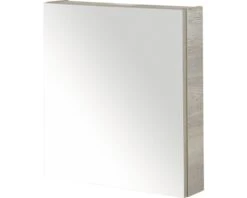 Spiegelkast 60 Cm Natuur Eiken