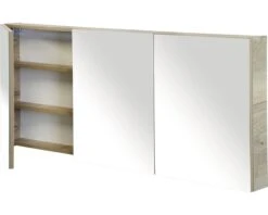 Spiegelkast 160 Cm Natuur Eiken -HORNBACH shop DV 8 10303394 04 4c DE 20200528051756