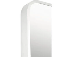 Spiegel Oval Mat Zilver 25x75 Cm 8 Spiegel Oval Mat Zilver 25x75 Cm -HORNBACH shop DV 8 10349791 04 4c NL 20210715150611