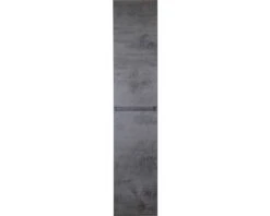 Hoge Kast Frozen 170x35 Cm Beton Antraciet 9 Hoge Kast Frozen 170x35 Cm Beton Antraciet -HORNBACH shop DV 8 10410265 02 4c DE 20210819174954