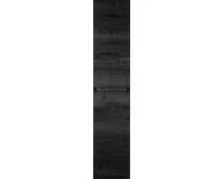 Hoge Kast Frozen 170x35 Cm Black Oak