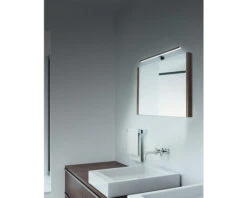 BASANO LED Spiegelverlichting 50 Cm Zwart -HORNBACH shop DV 8 10471889 03 4c DE 20210908121654