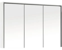 DIFFERNZ Spiegelkast Providence 120 Cm Wit