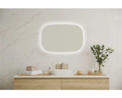 LED Lichtspiegel Ania 52x80 Cm 12 LED Lichtspiegel Ania 52x80 Cm -HORNBACH shop DV 8 10585967 01 4c DE 20220728141658