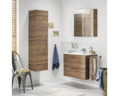 TIGER Spiegelkast S-line 70 X 80 Cm Eiken -HORNBACH shop DV 8 10594420 01 4c NL 20220901221652