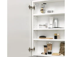 TIGER Spiegelkast S-line 70 X 120 Cm Wit Mat 7 TIGER Spiegelkast S-line 70 X 120 Cm Wit Mat -HORNBACH shop DV 8 10594430 02 4c NL 20220901221652