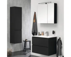 TIGER Spiegelkast S-line 70 X 80 Cm Zwart Mat 6 TIGER Spiegelkast S-line 70 X 80 Cm Zwart Mat -HORNBACH shop DV 8 10594432 02 4c NL 20220901221652