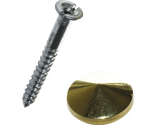 DRESSELHAUS Spiegelschroef Met Messing Kop 20 Mm Galv. Verzinkt, 4 Stuks 3 DRESSELHAUS Spiegelschroef Met Messing Kop 20 Mm Galv. Verzinkt, 4 Stuks