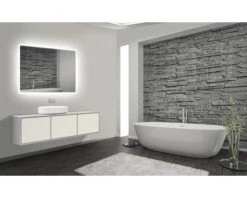 LED Lichtspiegel Silver Venus 80x60 Cm 11 LED Lichtspiegel Silver Venus 80x60 Cm -HORNBACH shop DV 8 5829504 06 4c DE 20210412095556