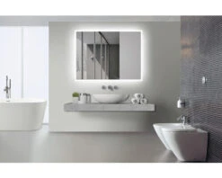 LED Lichtspiegel Silver Venus 80x60 Cm 10 LED Lichtspiegel Silver Venus 80x60 Cm -HORNBACH shop DV 8 5829504 11 4c DE 20210412095914