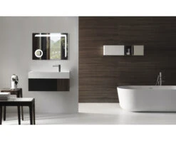 LED Lichtspiegel Silver Arrow 60x80 Cm 14 LED Lichtspiegel Silver Arrow 60x80 Cm -HORNBACH shop DV 8 5829506 13 4c DE 20210330081650