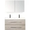 Badkamermeubelset Straight 100 Cm 2 Kraangaten Incl. Spiegelkast Grijs Eiken -HORNBACH shop DV 8 5936954 01 4c NL 20160113214019