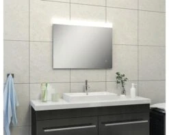 LED Lichtspiegel Dimbaar Vienas 80x60 Cm Anti-condens -HORNBACH shop DV 8 6196942 02 4c NL 20200529081656