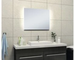 LED Lichtspiegel Twin Condensvrij 100x60 Cm