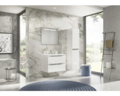 Badkamermeubelset Pulse 70 Cm Kunststeen Wastafel Incl. Spiegel Wit Hoogglans 11 Badkamermeubelset Pulse 70 Cm Kunststeen Wastafel Incl. Spiegel Wit Hoogglans -HORNBACH shop DV 8 6564910 02 4c NL 20221220111650 3