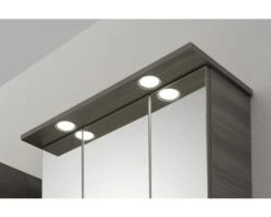 PELIPAL Spiegelkast Heidelberg Met LED Verlichting 65 Cm Sangallo Grijs 10 PELIPAL Spiegelkast Heidelberg Met LED Verlichting 65 Cm Sangallo Grijs -HORNBACH shop DV 8 6712527 02 4c DE 20180406085946