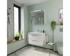 PELIPAL Badkamermeubelset Kumba 80 Cm Incl. Spiegelkast Met Verlichting Wit Hoogglans -HORNBACH shop DV 8 8905596 10 4c DE 20220414134753