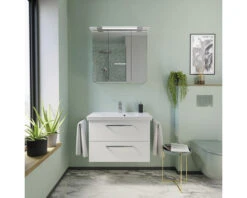 PELIPAL Badkamermeubelset Kumba 80 Cm Incl. Spiegelkast Met Verlichting Wit Hoogglans -HORNBACH shop DV 8 8905596 11 4c DE 20220414134753